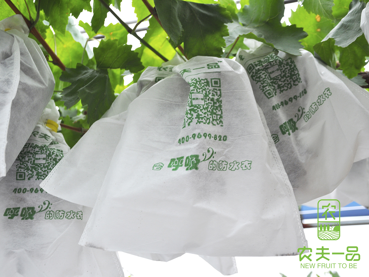 农夫一品葡萄套袋，透光透气防鸟，绿色有机农业必备!