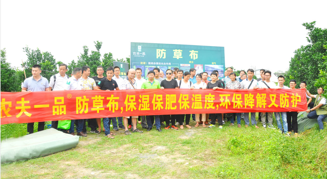 农民一品宝根布