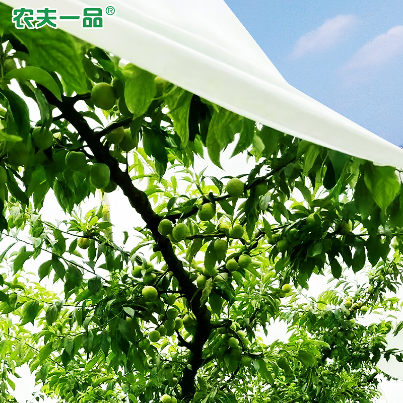 利用2.jpg