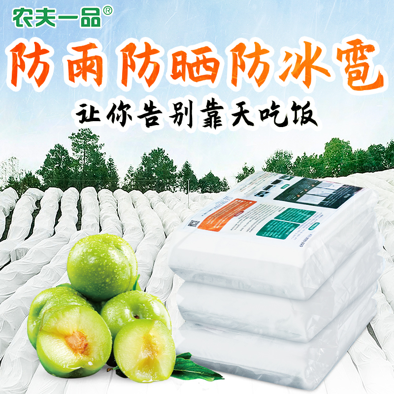李子大批裂果，若何应答？
