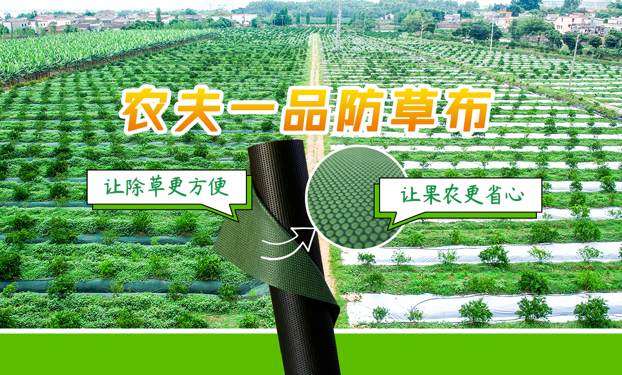 农夫一品,科技创新不止!