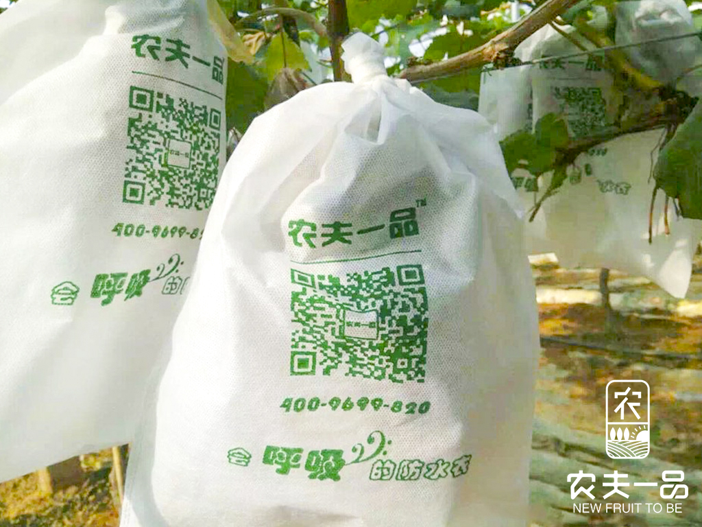 1689939423135199.jpg 套袋白色场景利用 (1).jpg