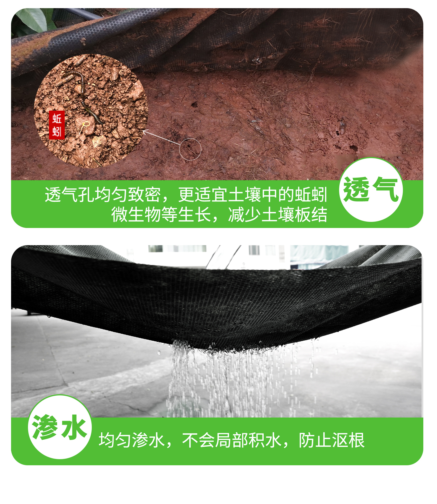 打孔51漫画
概况页1_12.jpg