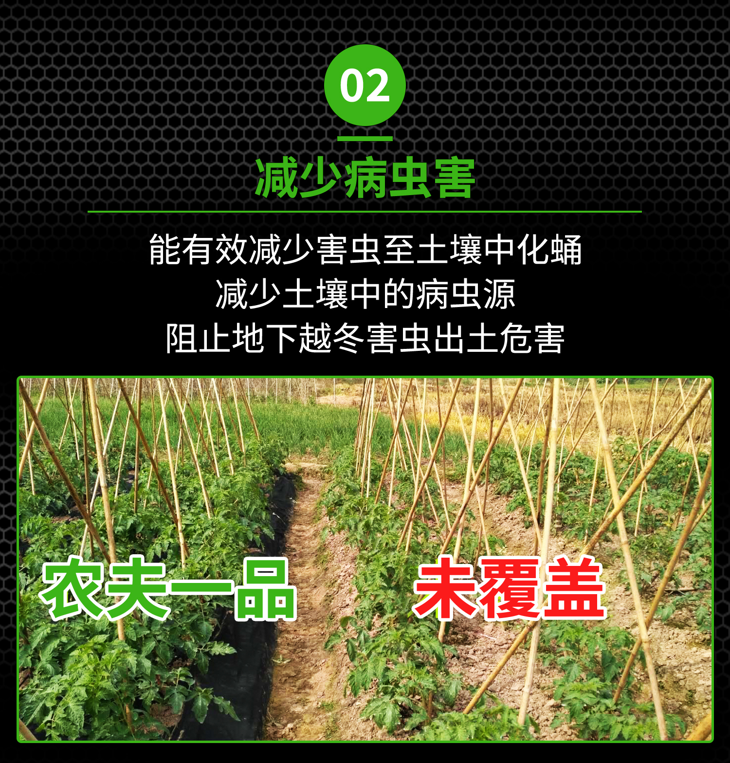 打孔51漫画
概况页1_14.jpg
