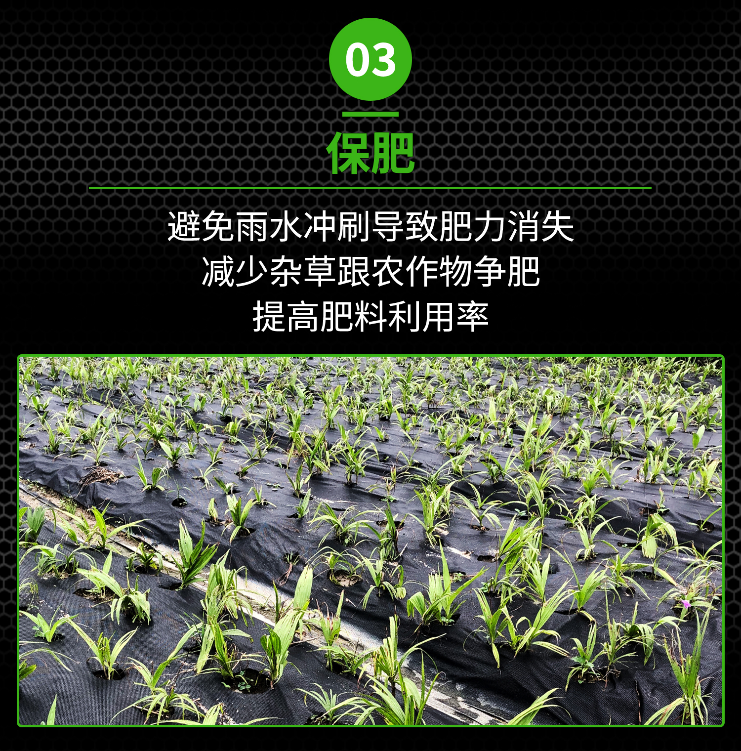 打孔51漫画
概况页1_15.jpg