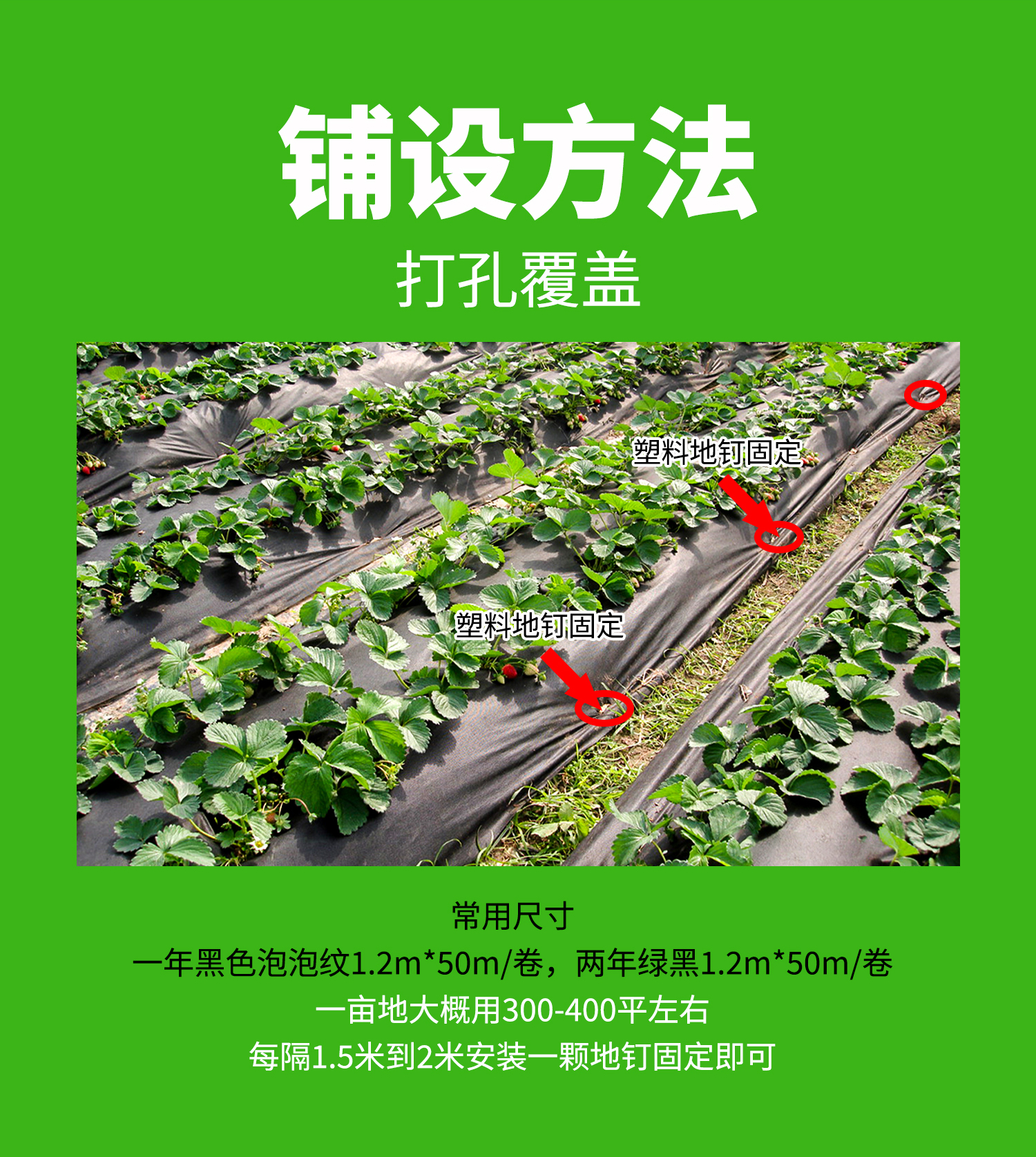 打孔51漫画
概况页2_03.jpg