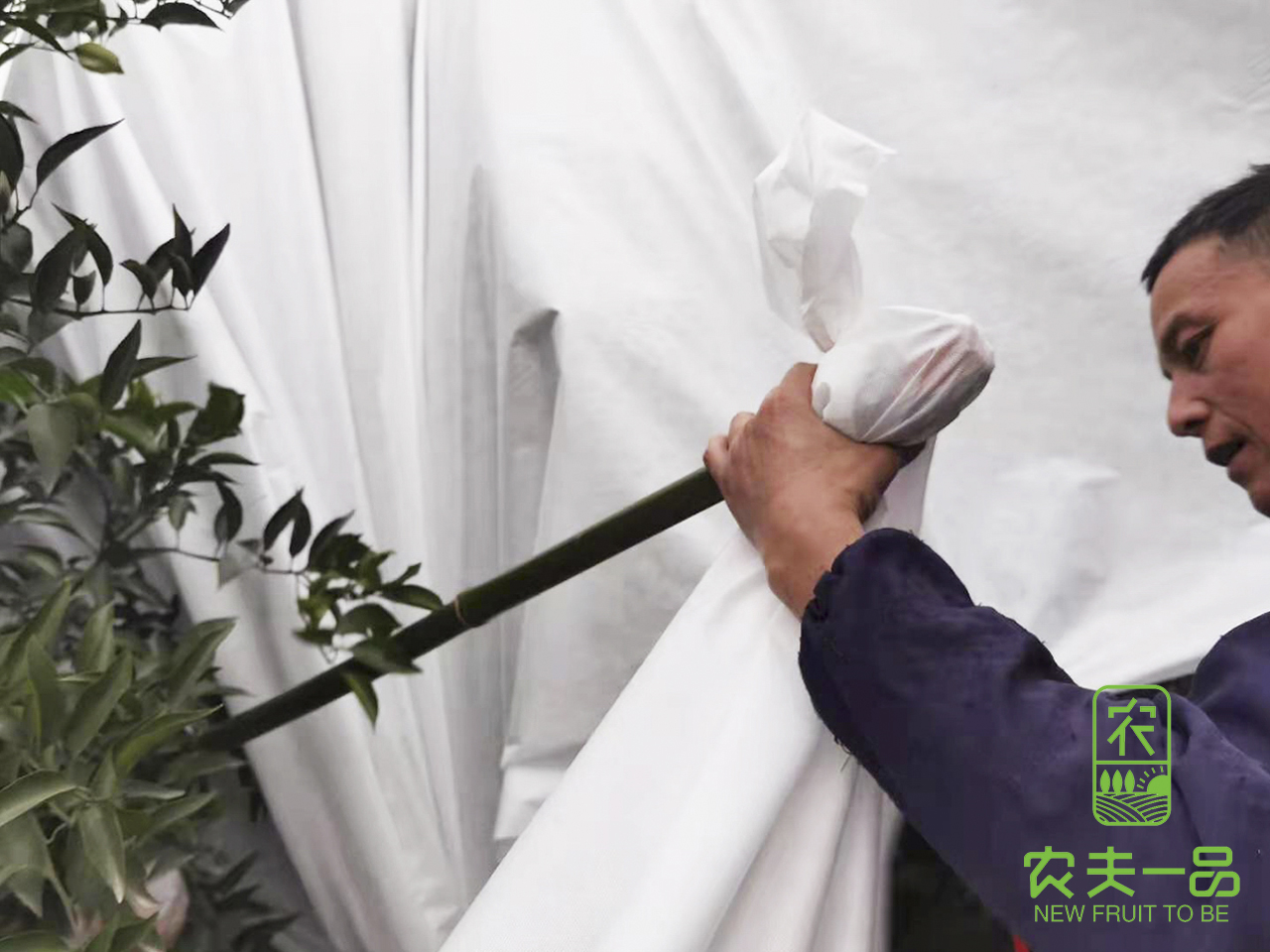 农夫一品防寒罩应用案例