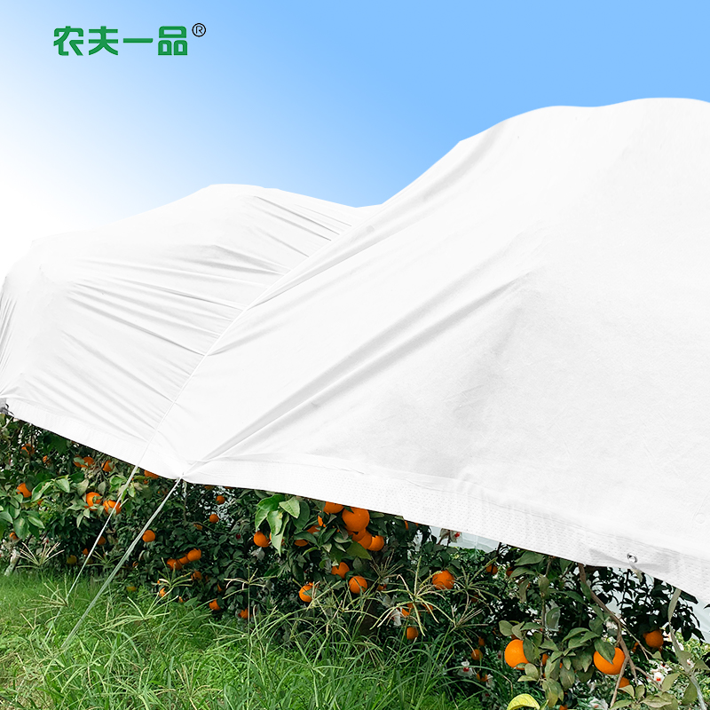 ce94b9e694880642a2bafcdc9ebd10e.jpg