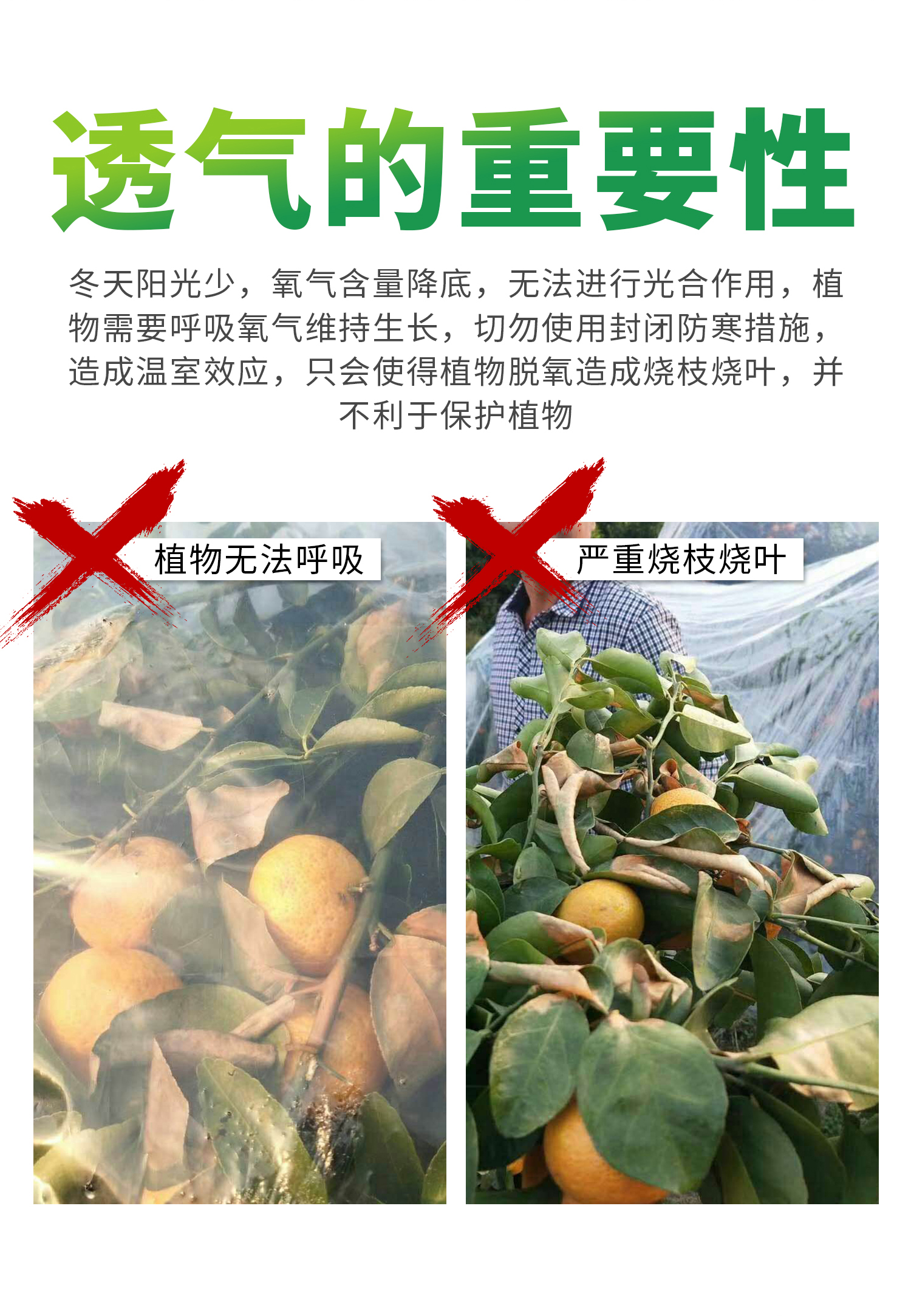 御寒罩概况_06.jpg