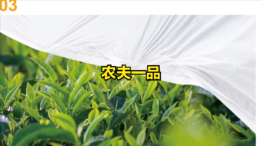 若何选购优良的茶叶御寒布？