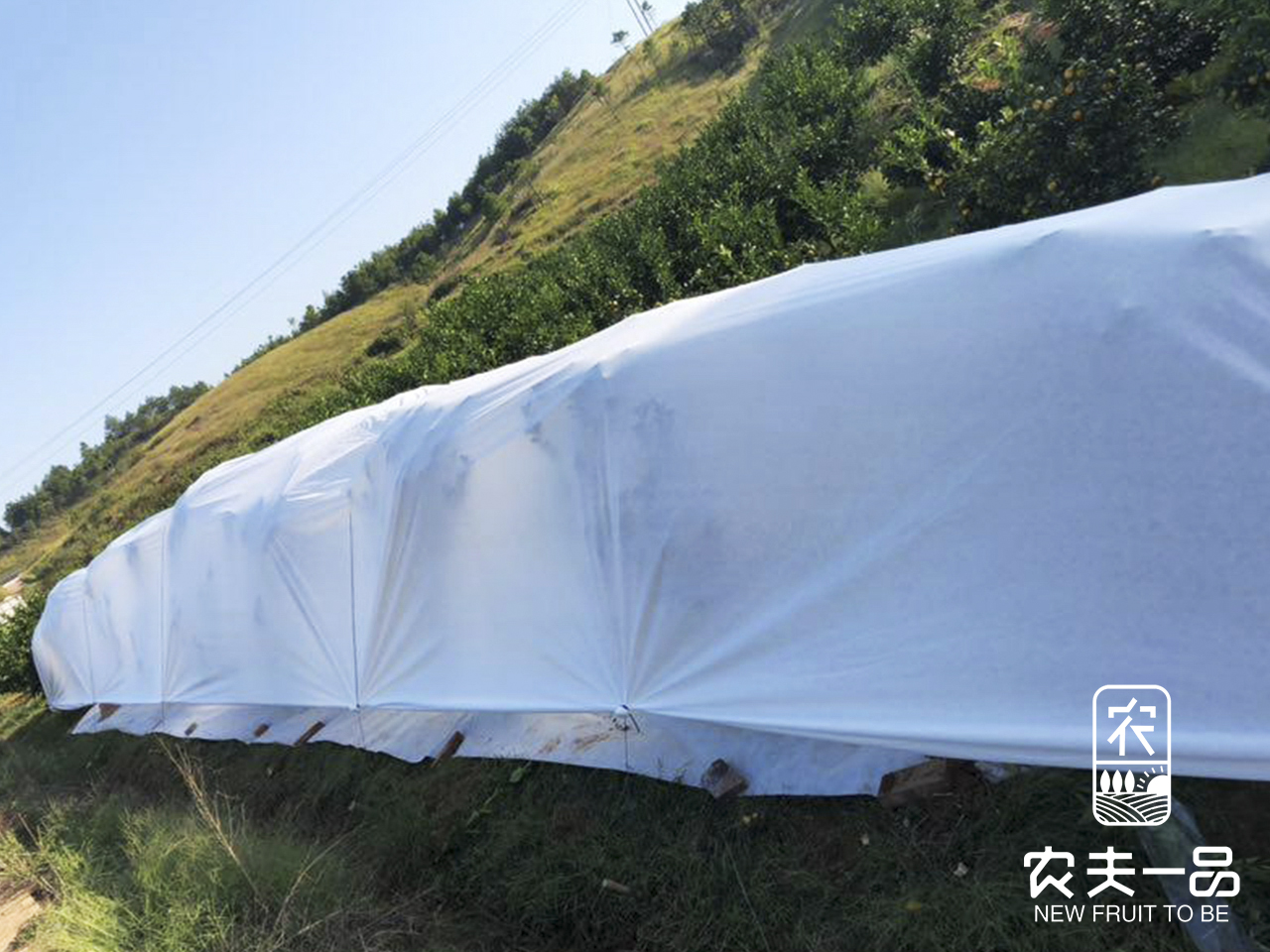 御寒布笼盖方式步骤 (12).jpg