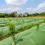 趁春景恰好，手把手教你迷信春季除草