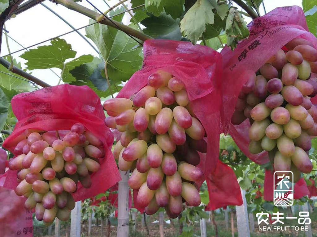 1715330904186021.jpg 结果白色.jpg