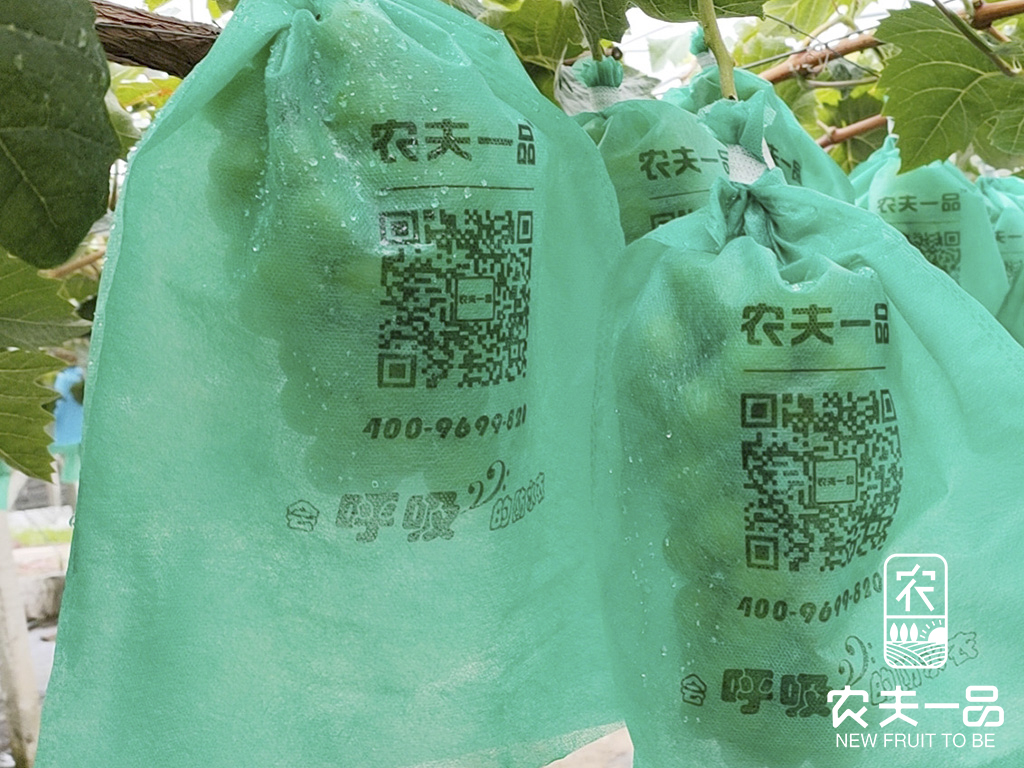 农民一品葡萄套袋，让您的葡萄健壮生长