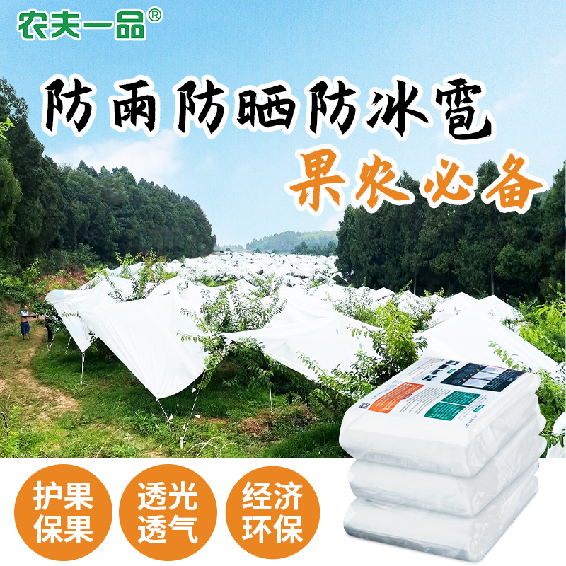 【养护秘笈】低温高湿气候李子裂果怎样办？