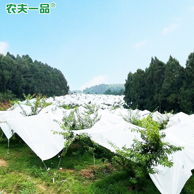 1719997506869671.jpg 操纵1.jpg
