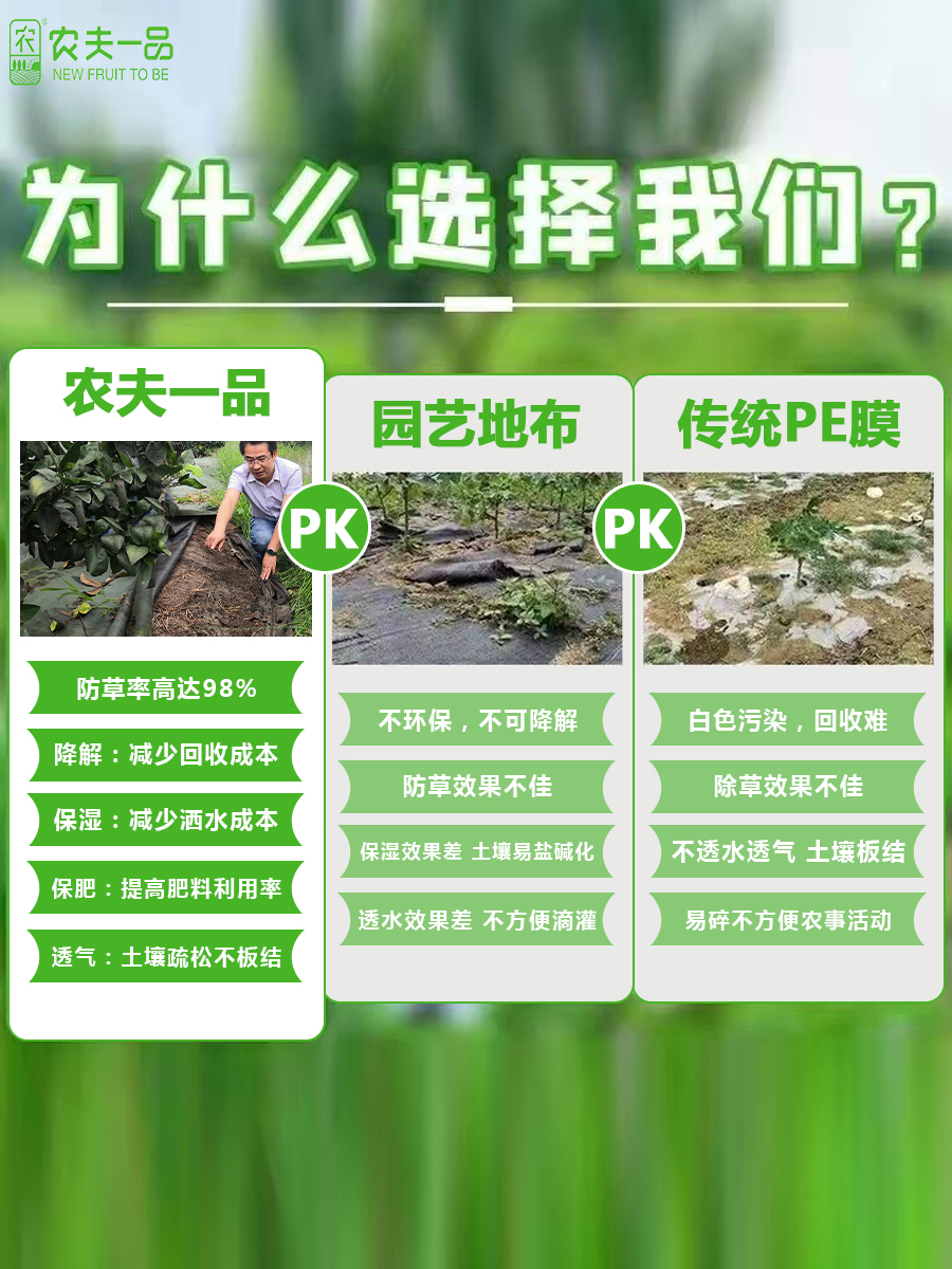 挑选.jpg