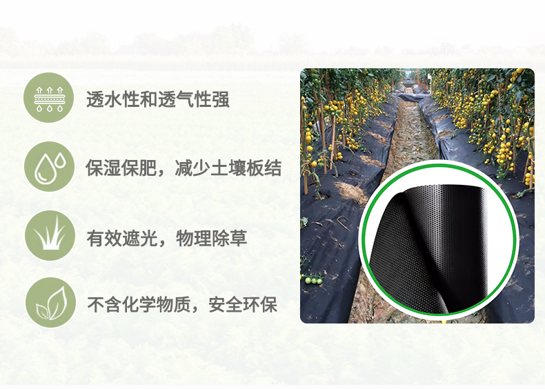 玄色概况页排版-拷贝_02.jpg
