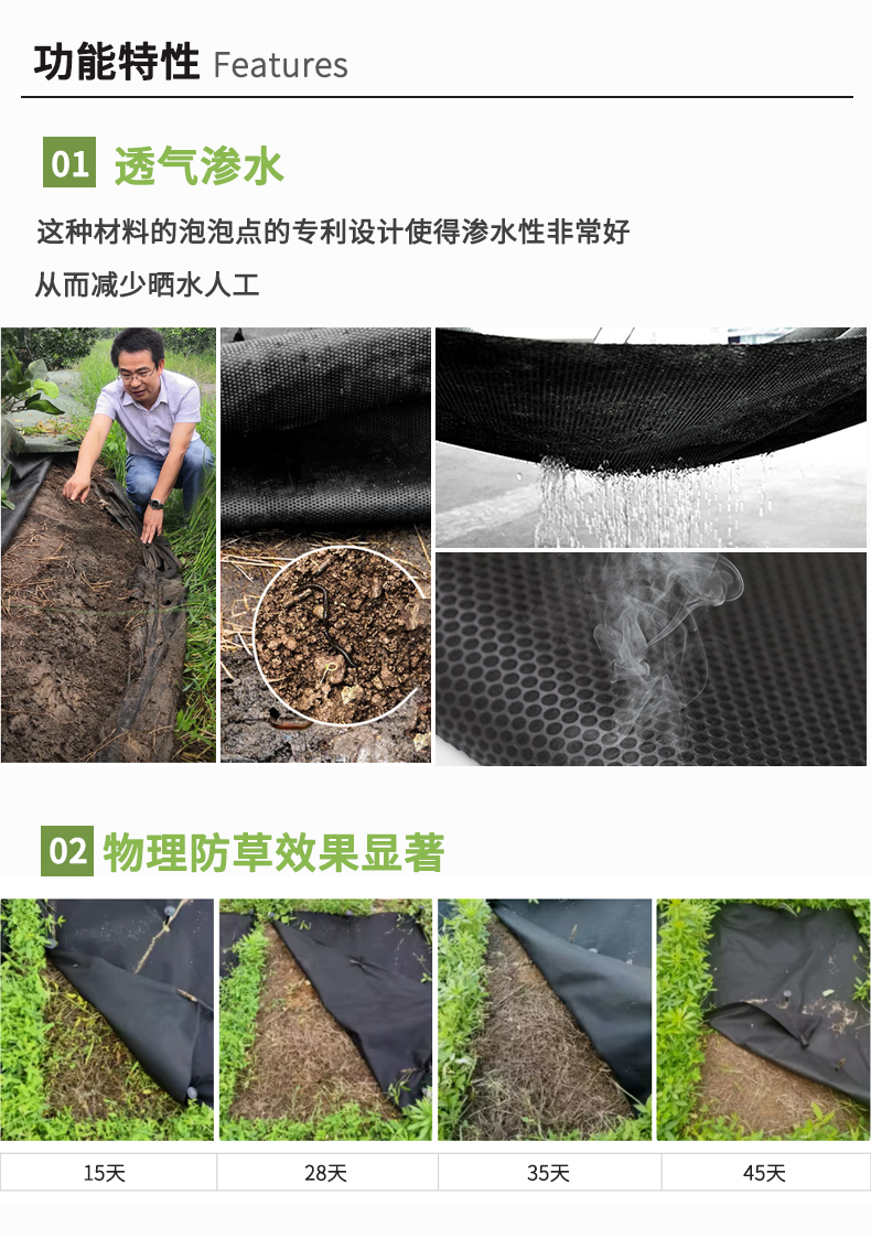 玄色概况页排版-拷贝_06.jpg