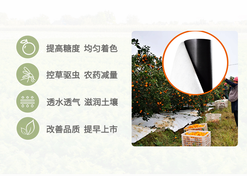 白黑详情页排版_02.jpg