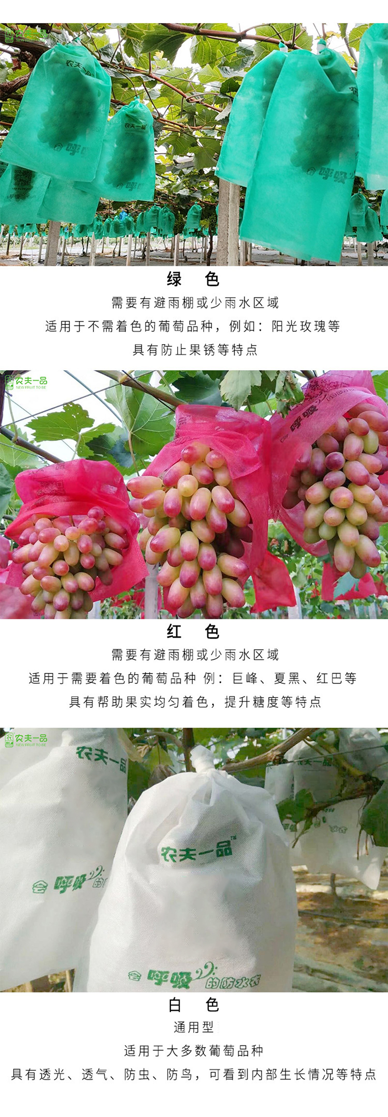 生果套袋排版_08.jpg
