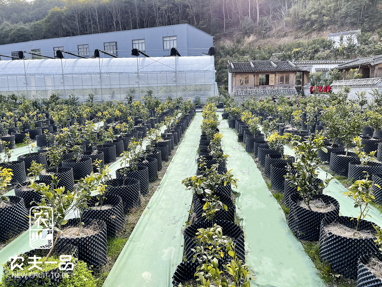 除草剂的范围与51漫画
的冲破：园艺除草的新篇章